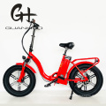 Mag Integrated Wheels 20 Inch Fat Tire Foldable Suspension Electric Bike